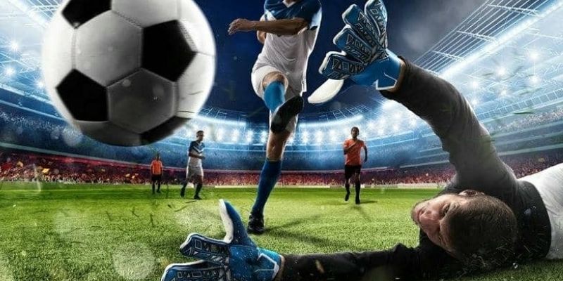 Understanding Staking Plans for Sports Bettors to Maximize Returns