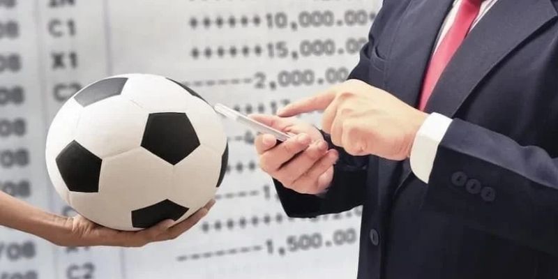 Begin with conservative stakes to understand plan mechanics