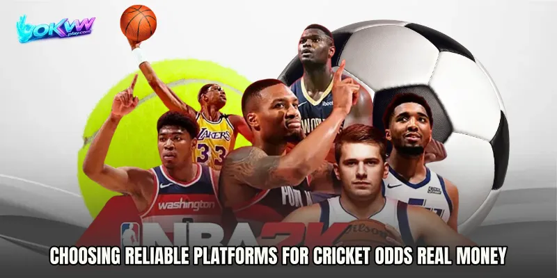 Choosing Reliable Platforms for Cricket Odds real money